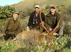 Alpine Red Trophy Hunt free range red stag and hind hunting trip