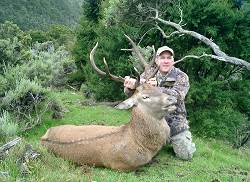 Chris Jolly's Wairarapa trophy red stag hunting trip