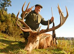 Wilderness Quest New Zealand trophy red stag, tahr, chamois, feral goat, wild boar and Arapawa ram hunting trips